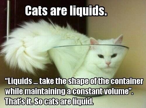 cats liquid file